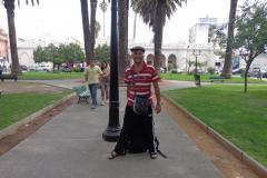 Andes-176