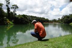 Brazil_around-207