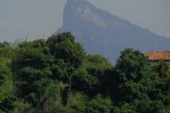 Brazil_Centre-210