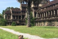 Cambodia_-33