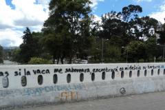 Ecuador-221