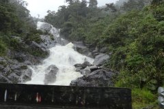 Ecuador-265