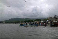 Ecuador-291