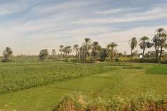Egipto_-93