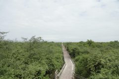 Galapagos-283