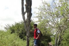 Galapagos-285