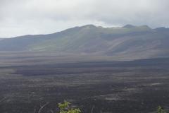 Galapagos-365
