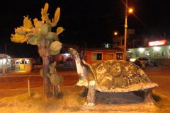 Galapagos-366