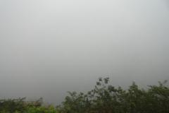 Galapagos-367