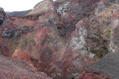 Galapagosf-61