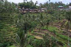 Indonesia-74