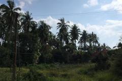 Malaysia-228