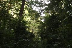 Malaysia-261