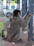 More_of_Ecuador-120