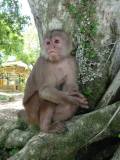 More_of_Ecuador-72
