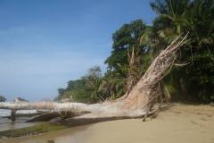 Central_America-9