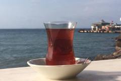 Turkey-78