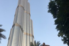 UAE-61